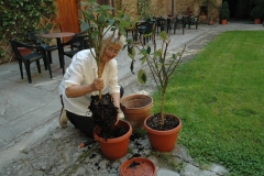 Dienst für die Erde