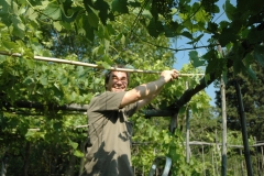 Projekte der natürlichen Landwirtschaft