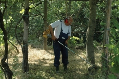 Dienst für die Erde