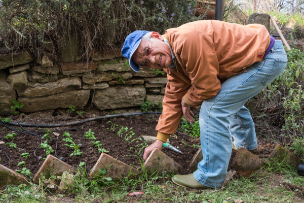 Die Umwelt respektieren und verbessern